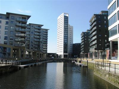 Picture 8